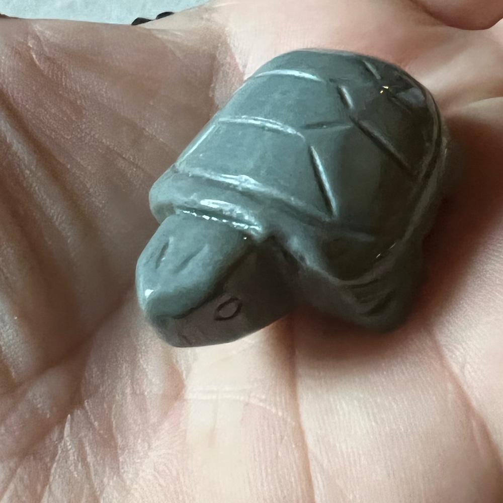 Turtle Carving - Picture 8 of 16